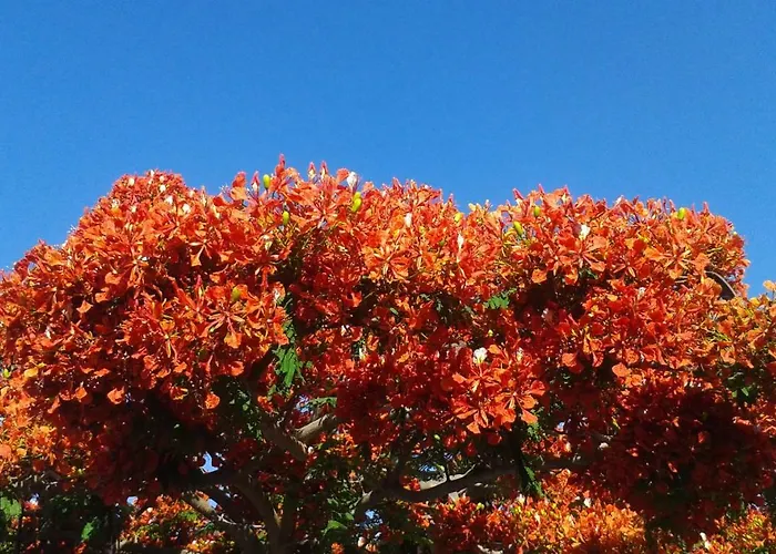 Holiday home By Jonni Res. Chaparral