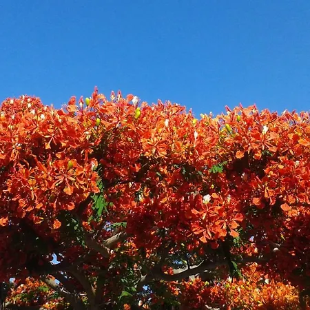 Дом отдыха By Jonni Res. Chaparral