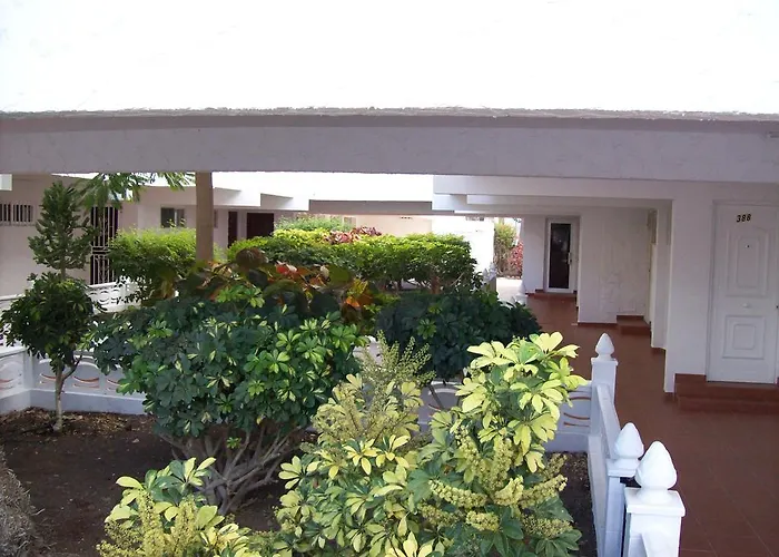 By Jonni Res. Chaparral *