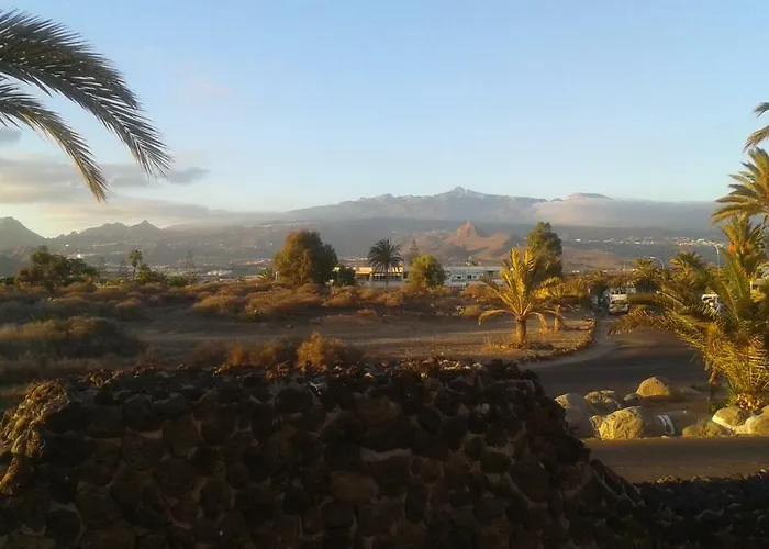 By Jonni Res. Chaparral *