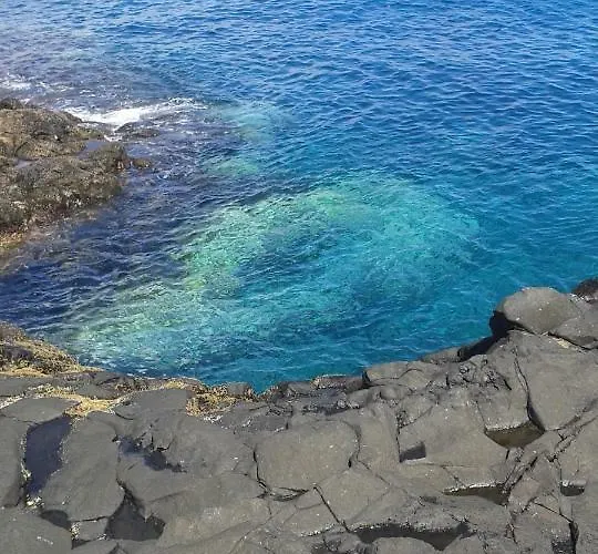 By Jonni Res. Chaparral