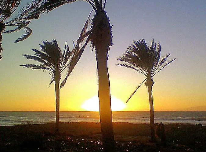 By Jonni Res. Chaparral Costa del Silencio