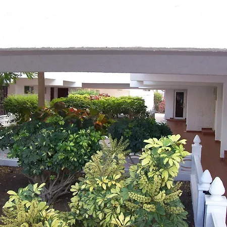 By Jonni Res. Chaparral *